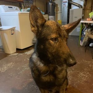 Meet your Posher, Erik